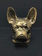 Franse bulldog kop Brons gekleurd. Urn, Ophalen of Verzenden, Nieuw, Dier
