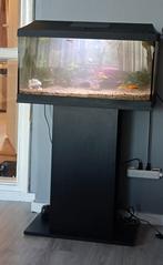Compleet 60cm aquarium., Dieren en Toebehoren, Vissen | Aquaria en Toebehoren, Ophalen of Verzenden, Zo goed als nieuw, Leeg aquarium