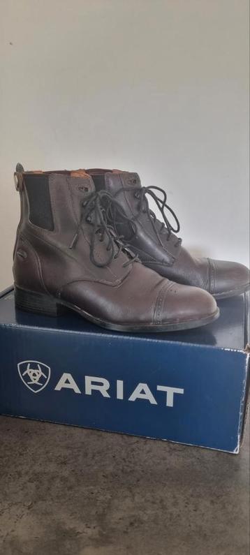 Ariat Paddock Zip&lace Jodhpurs Maat 39 - Zo goed als nieuw beschikbaar voor biedingen