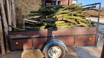 droog hardhouten haardhout in stammetjes beschikbaar voor biedingen