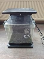 Leuk klein aquarium, Dieren en Toebehoren, Ophalen, Zo goed als nieuw, Leeg aquarium