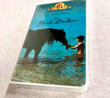 The Black Stallion VHS 1994 Mickey Rooney Teri Video-band beschikbaar voor biedingen