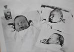 De prinsen Constantijn - Johan Friso - Willem-Alexander, Verzenden, Zo goed als nieuw, Nederland, Kaart, Foto of Prent
