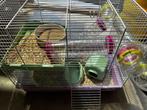 Hamster kooi zgan, Minder dan 60 cm, Kooi, Minder dan 75 cm, Ophalen of Verzenden