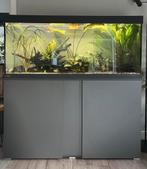 Aquarium Eheim Vivaline Led 240, Dieren en Toebehoren, Vissen | Aquaria en Toebehoren, Ophalen, Gevuld zoetwateraquarium