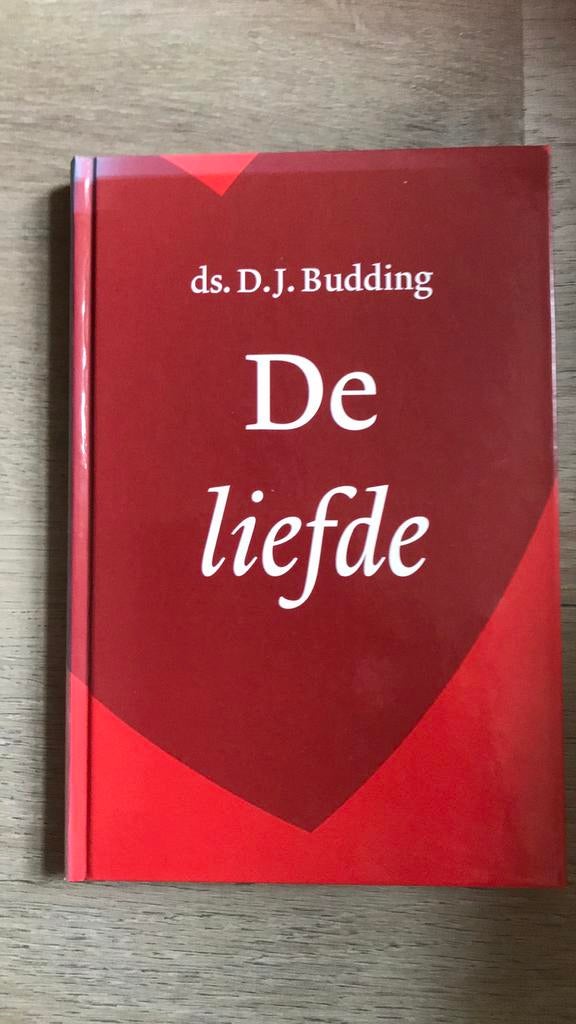 D.J. Budding - De liefde, Ophalen of Verzenden, Zo goed als nieuw, D.J. Budding