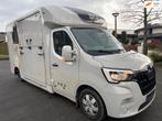 Renault Master paarden wagen stx master horsebox bj 2023, Voorwielaandrijving, Gebruikt, Zwart, Bedrijf