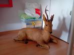 Opgezet hert, Verzamelen, Dierenverzamelingen, Ophalen of Verzenden, Nieuw, Hert, Opgezet dier
