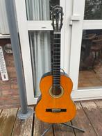 Giant Akoestische Gitaar - Beginnersmodel, Muziek en Instrumenten, Snaarinstrumenten | Gitaren | Elektrisch, Ophalen of Verzenden