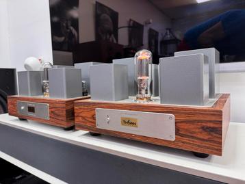 High End Thivan 211 mono buizenversterkers beschikbaar voor biedingen
