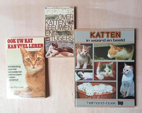 Kattenboeken, Boeken, Dieren en Huisdieren, Zo goed als nieuw, Katten, Ophalen of Verzenden