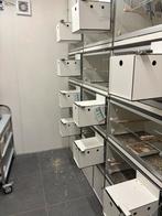 Broedkooien, Dieren en Toebehoren, Ophalen, Zo goed als nieuw, Aluminium, Broedkooi of Kweekkooi