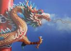 Cursus chinees (Mandarijn) van Laudius voor beginners, Boeken, Studieboeken en Cursussen, Ophalen of Verzenden, Alpha, Zo goed als nieuw