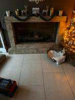 Gas haard, Ophalen of Verzenden, Gebruikt, Gashaard