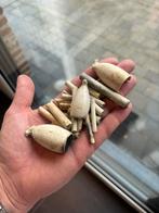 Antieke Kleipijpen gevonden te Antwerpen (België), Antiek en Kunst, Ophalen of Verzenden