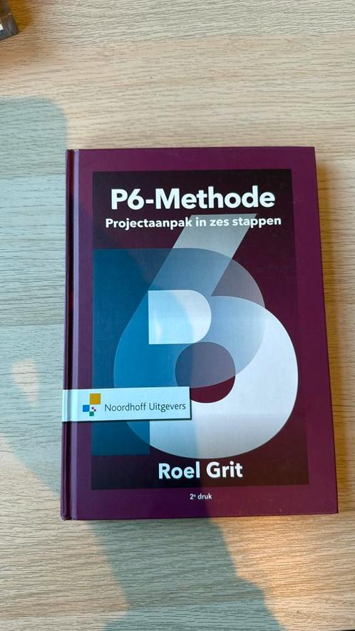 Roel Grit - Projectaanpak in zes stappen, Boeken, Wetenschap, Zo goed als nieuw, Ophalen of Verzenden
