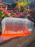 hamster kooi, Dieren en Toebehoren, Kooi, Minder dan 75 cm, Zo goed als nieuw, Ophalen