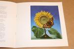 Kees Thijn — 25 Jaar Schilder [1991] — Catalogus Bronnen, Ophalen of Verzenden, Gelezen