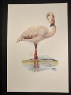 Flamingo, Verzenden, 1980 tot heden, Zo goed als nieuw, Dier
