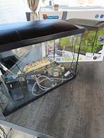 Te koop Aquarium, Dieren en Toebehoren, Ophalen of Verzenden, Zo goed als nieuw, Leeg aquarium