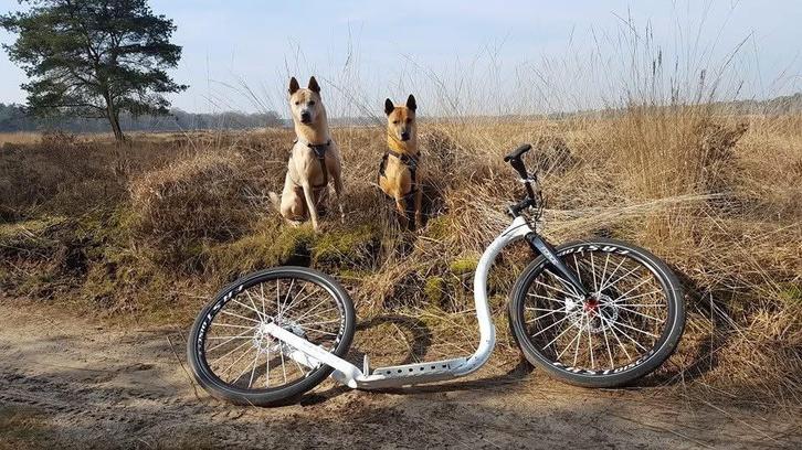 Kickbike race Max step, special edition, Fietsen en Brommers, Steps, Zo goed als nieuw, Kickbike, Ophalen
