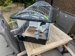 Caviahok ferplast, Kooi, Gebruikt, 75 tot 110 cm, Cavia