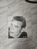 James Dean poster, Ophalen of Verzenden, Zo goed als nieuw, A1 t/m A3, Film en Tv