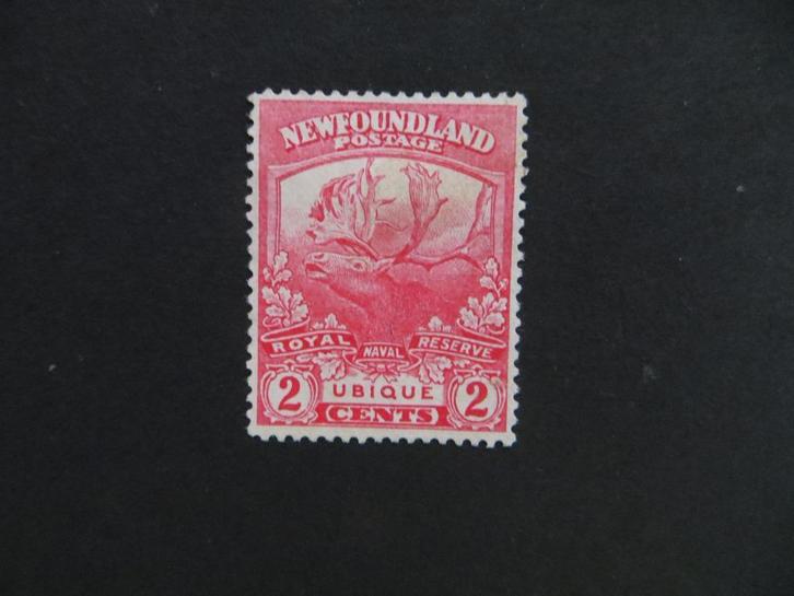 A13036: Newfoundland  2 c, Postzegels en Munten, Postzegels | Amerika, Noord-Amerika, Ophalen of Verzenden