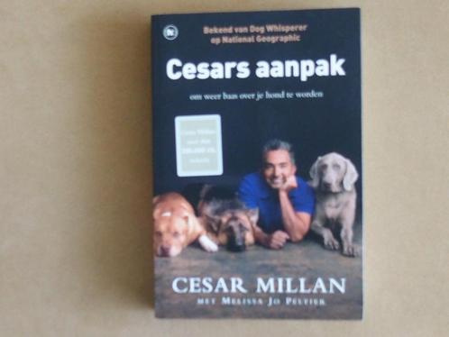 Cesar's aanpak - Cesar Millan - baas over je hond, Boeken, Dieren en Huisdieren, Zo goed als nieuw, Honden, Verzenden