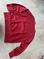 Vivienne Westwood man - klassiek rood - Orgl logo trui maat, Ophalen of Verzenden, Zo goed als nieuw, Nvt, Nvt