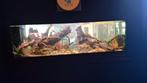 Aquarium onderhouds contract en aquascaping service, Ophalen, Nieuw, Leeg aquarium
