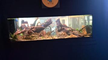 Aquarium onderhouds contract en aquascaping service beschikbaar voor biedingen