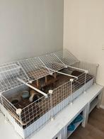 Cavia draadlubus te koop. (Incl tafels mogelijk), Dieren en Toebehoren, Minder dan 60 cm, Kooi, 110 cm of meer, Ophalen of Verzenden