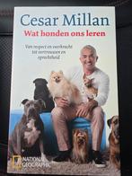Cesar Millan - Wat Honden Ons Leren - Nieuw!, Ophalen of Verzenden, Nieuw, Honden, Cesar Millan