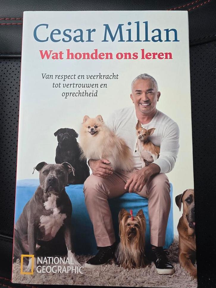 Cesar Millan - Wat Honden Ons Leren - Nieuw!, Boeken, Dieren en Huisdieren, Nieuw, Honden, Ophalen of Verzenden