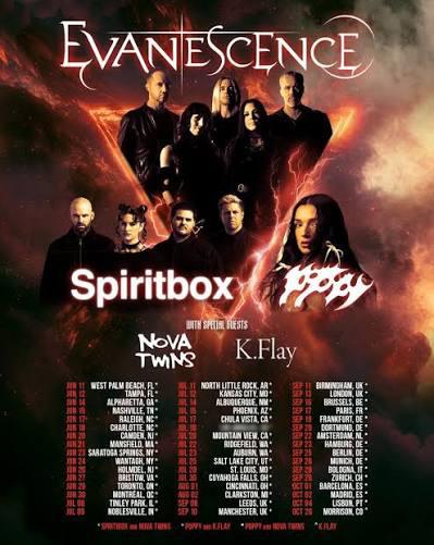 Evanescence kaartje Golden circle, Tickets en Kaartjes, Concerten | Overige, Eén persoon, September