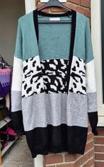 Jurk shirt jas broek jeans rok blouse tas ketting vrouw y2k, Ophalen of Verzenden, Gedragen