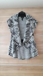 Mouwloos vest Frank Lyman maat 8, Kleding | Dames, Truien en Vesten, Maat 38/40 (M), Overige kleuren, Ophalen of Verzenden, Zo goed als nieuw