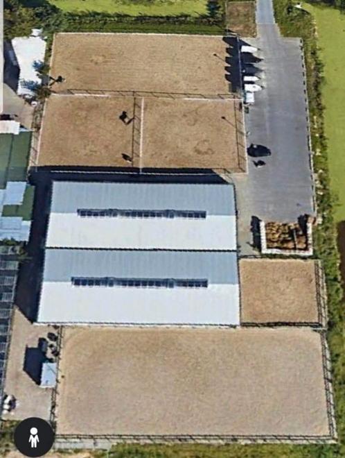 Pensionstalling paard of pony!, Dieren en Toebehoren, Stalling en Weidegang, Stalling, 4 paarden of pony's of meer