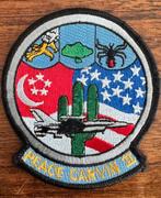 425th TFS patch “Peace Carvin II”, Ophalen of Verzenden, Zo goed als nieuw, Patch, Badge of Embleem