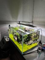 Aquascape 140 aquarium, Dieren en Toebehoren, Vissen | Aquaria en Toebehoren, Ophalen, Zo goed als nieuw, Gevuld zoetwateraquarium