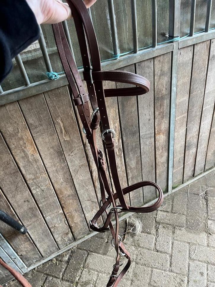 Bitloos hoofdstel en inlage, Dieren en Toebehoren, Paarden en Pony's | Hoofdstellen en Tuigage, Gebruikt, Overige soorten, Ophalen of Verzenden