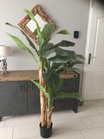 Bananenboom kunst  boom 180 hoog met 3 stammen, Ophalen of Verzenden, Zo goed als nieuw