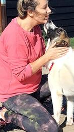 WIE GAAT WANDELEN MET LIEVE BORIS, JONGE REU, MIDDELMAATJE, Rabiës (hondsdolheid), Reu, 1 tot 2 jaar, Eén hond