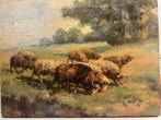 Olieverf schilderij Grazende schapen, Antiek en Kunst, Kunst | Schilderijen | Klassiek, Ophalen of Verzenden