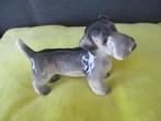 beeld york terrier, Ophalen of Verzenden
