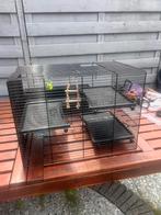 Hamster kooi, Minder dan 60 cm, Kooi, Minder dan 75 cm, Ophalen of Verzenden