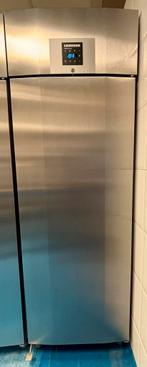 Liebherr koelkast GKPv 6590 ProfiLine RVS, Ophalen, Koelen en Vriezen