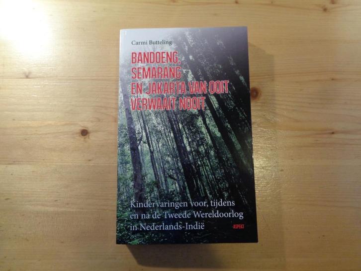 Carmi Butteling - Bandoeng, Semarang en Jakarta, Boeken, Literatuur, Zo goed als nieuw, Nederland, Ophalen