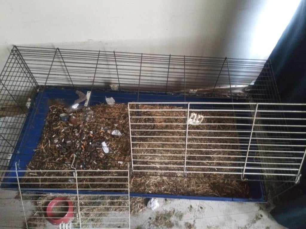 Konijnenkooi redeljke staan, Dieren en Toebehoren, Knaagdieren en Konijnen | Hokken en Kooien, Minder dan 60 cm, Kooi, Gebruikt